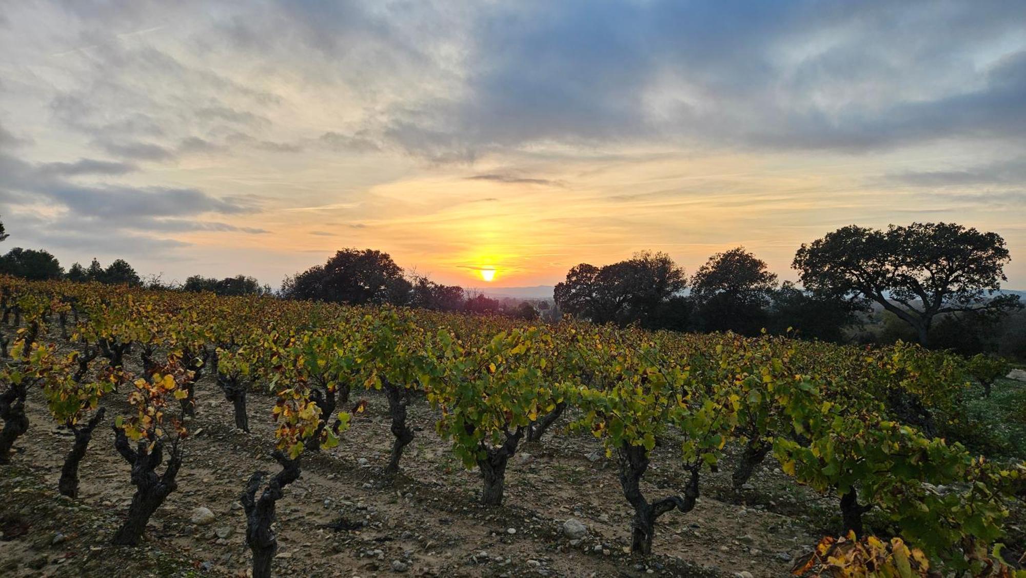 La Maison De Jeanne Narbonne Exteriér fotografie